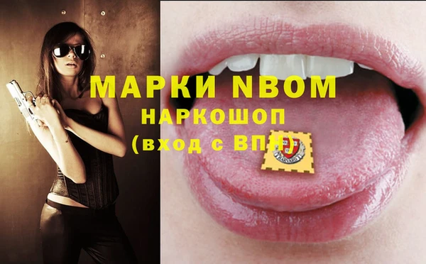 прущие грибы Алзамай