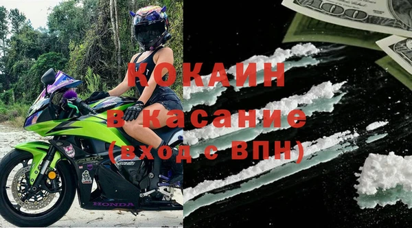 прущие грибы Алзамай